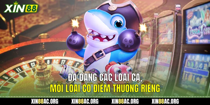 Đa dạng các loại cá, mỗi loại có điểm thưởng riêng.