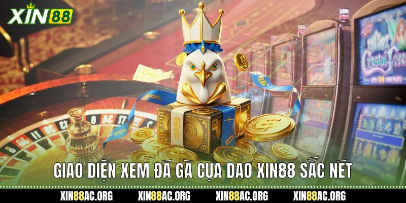 Giao diện xem Đá gà cựa dao Xin88 sắc nét