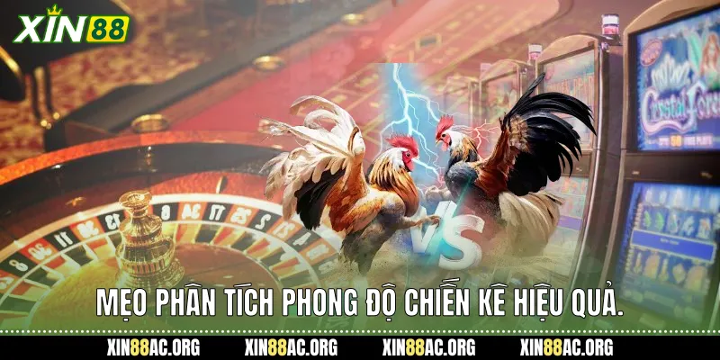 Mẹo phân tích phong độ chiến kê hiệu quả.