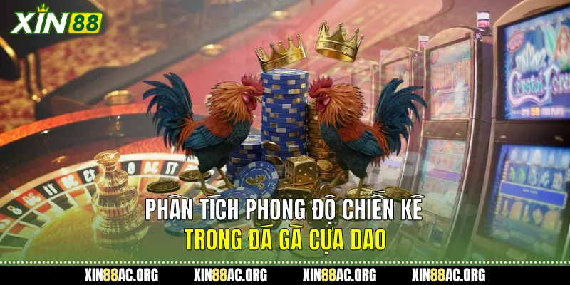 Phân tích phong độ chiến kê trong Đá gà cựa dao