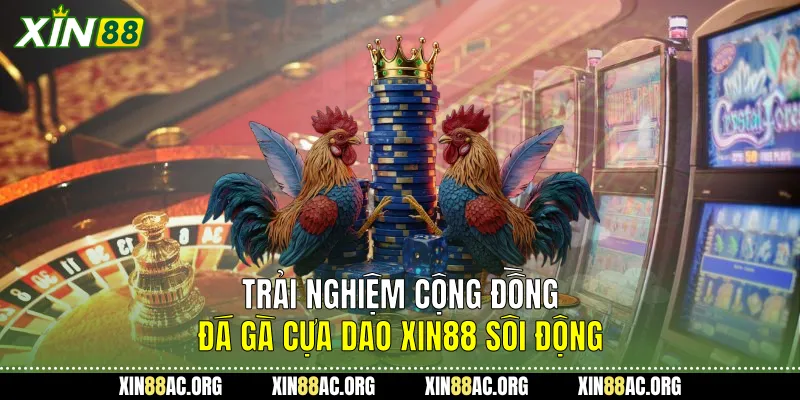 Trải nghiệm cộng đồng Đá gà cựa dao Xin88 sôi động