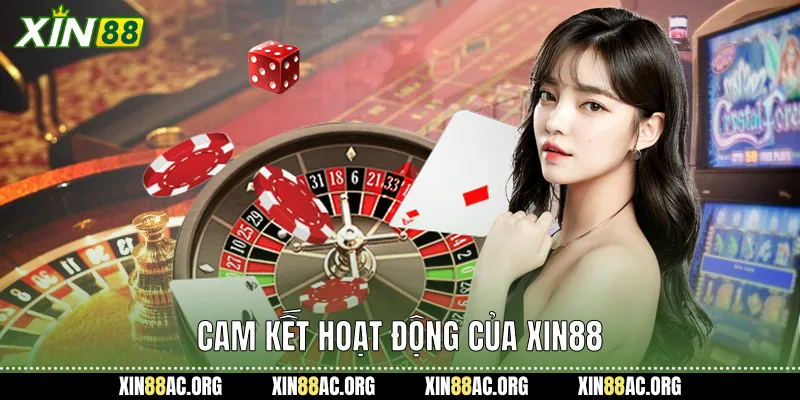 Cam kết hoạt động của xin88