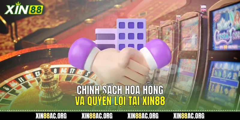 Chính sách hoa hồng và quyền lợi tại Xin88