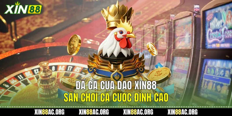 Đá Gà Cựa Dao Xin88 - Sân Chơi Cá Cược Đỉnh Cao