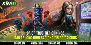 Đá Gà Trực Tiếp C1 Xin88 - Đấu Trường Đỉnh Cao Cho Tín Đồ Cá Cược