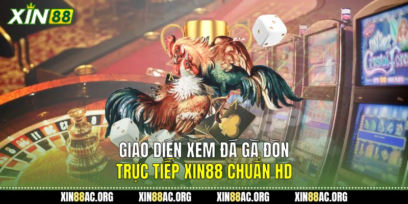 Giao diện xem Đá gà đòn trực tiếp Xin88 chuẩn HD