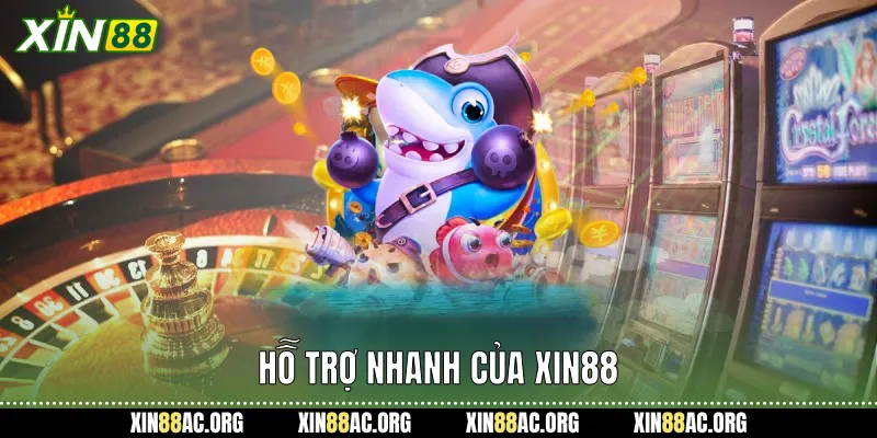 Hỗ trợ nhanh của xin88