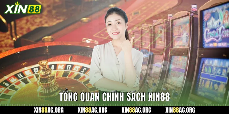Tổng quan chính sách xin88