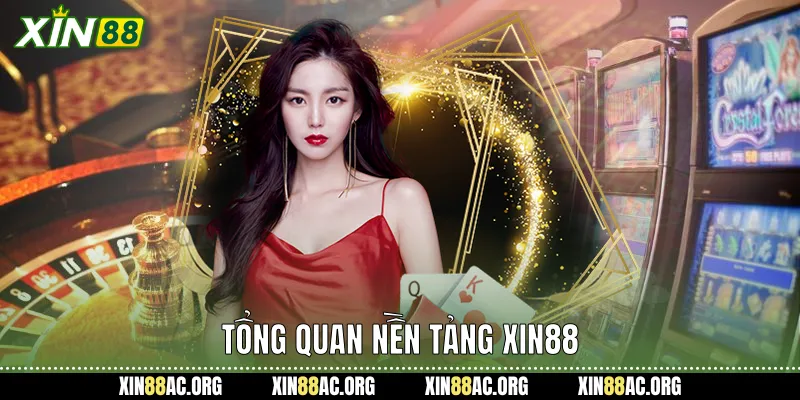 Tổng quan nền tảng xin88