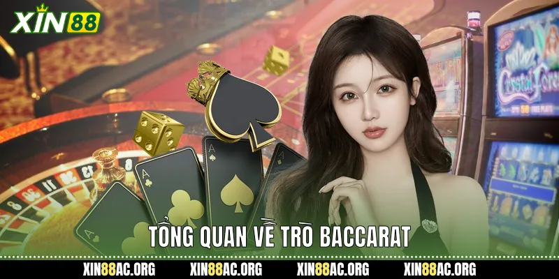 Tổng quan về trò baccarat